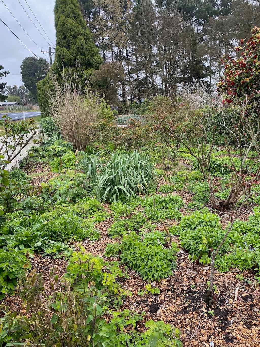 Red Cow Farm Garden Image -632f7eb93ad2b